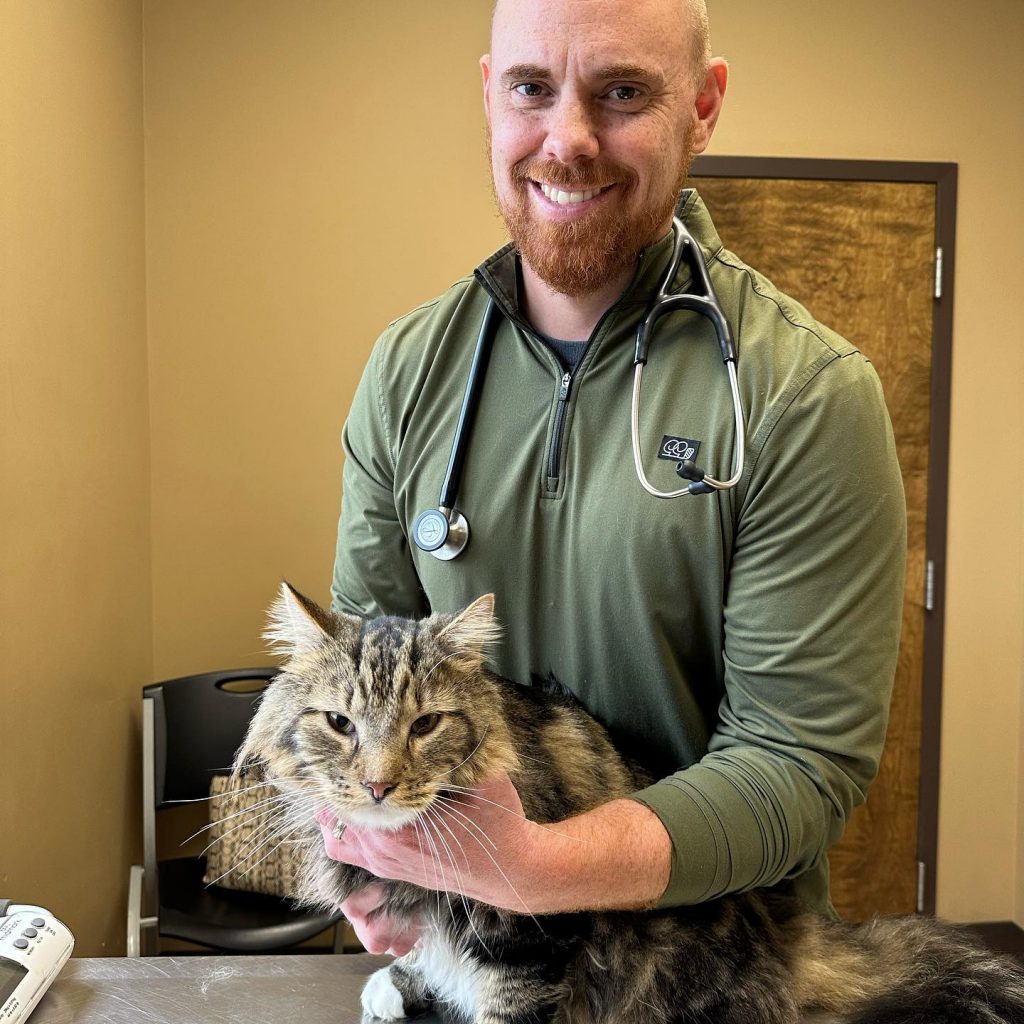 Our Team North Alabama Animal Hospital